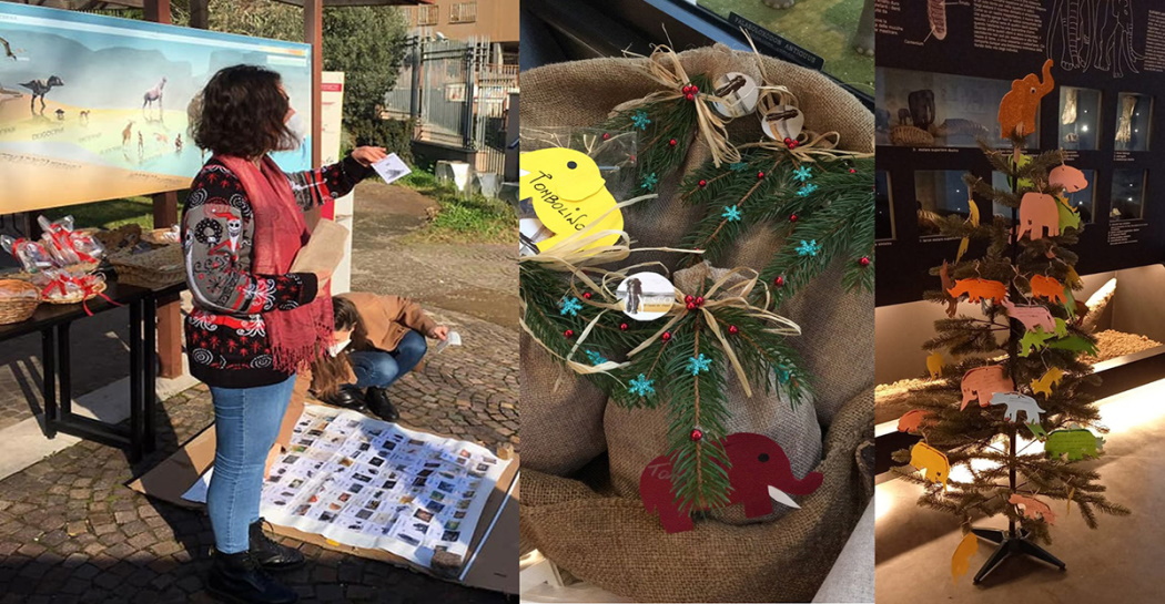 da sx a dx: I volontari del Servizio Civile Universale 2021-22 durante la tombolata; alcuni premi della tombolata; l’albero di Natale decorato dai visitatori